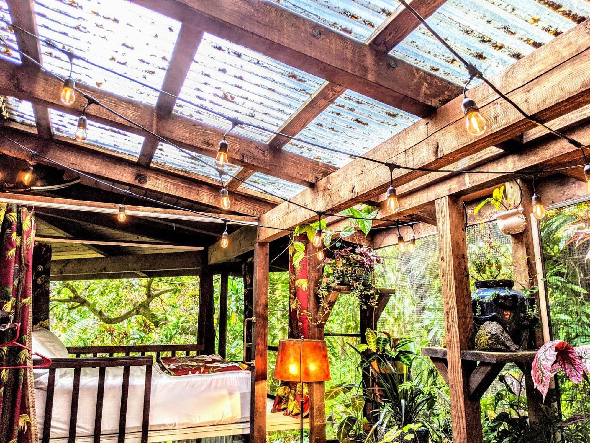 Bed and Breakfast Kehena Mauka Nui Club Lgbtqia+ Clothing Optional Pahoa Номер фото