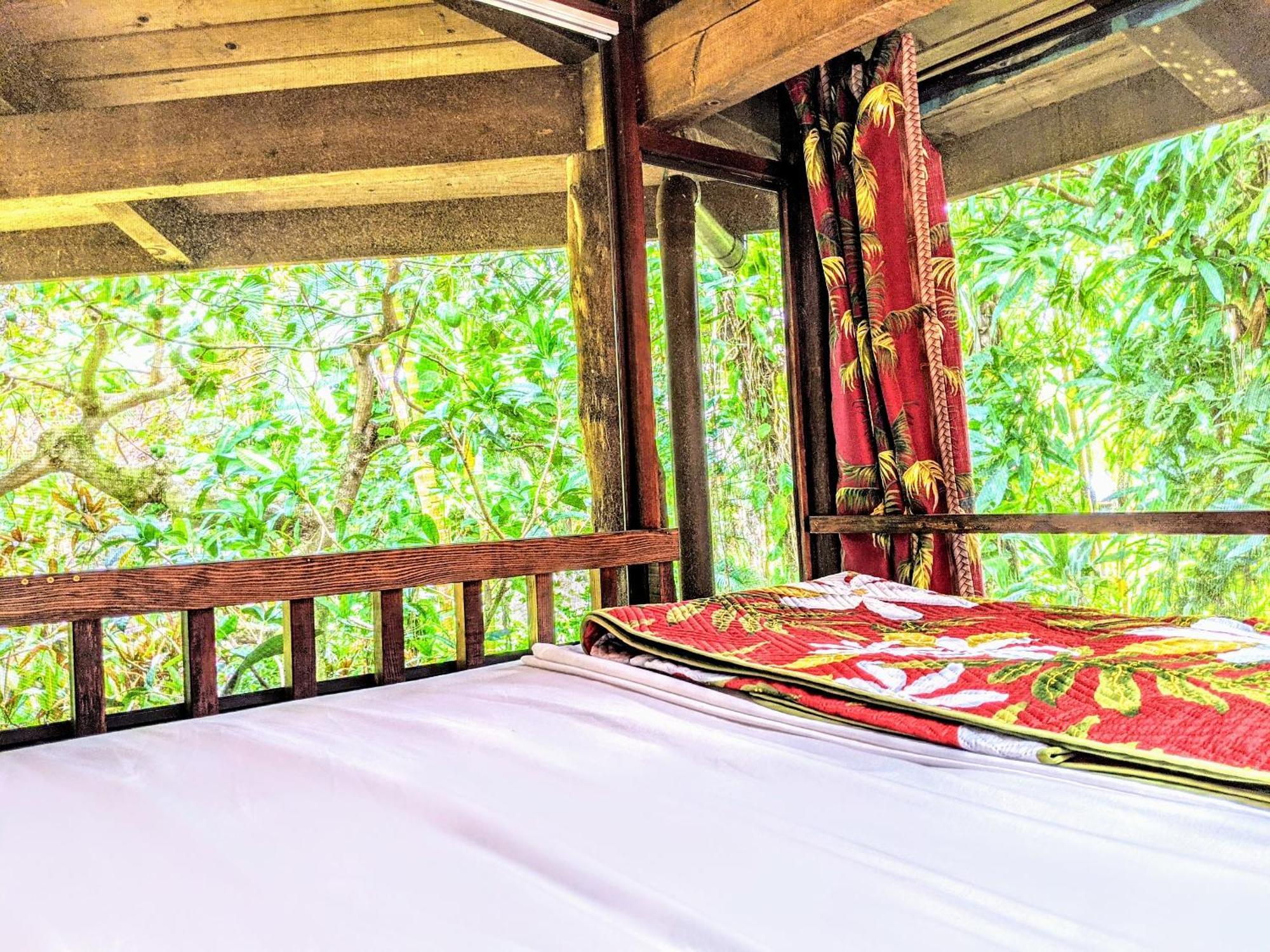 Bed and Breakfast Kehena Mauka Nui Club Lgbtqia+ Clothing Optional Pahoa Номер фото